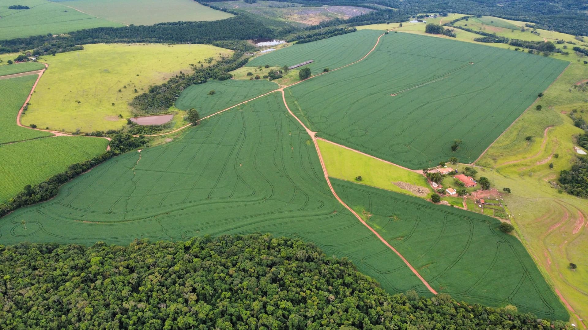 Fazenda