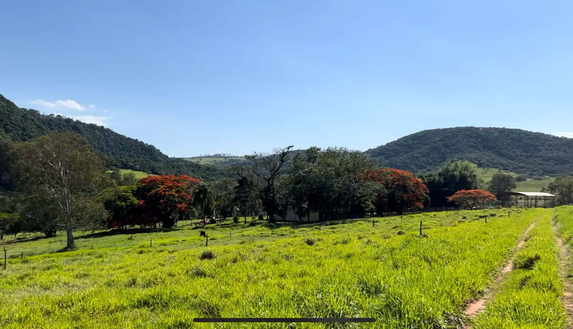 Fazenda