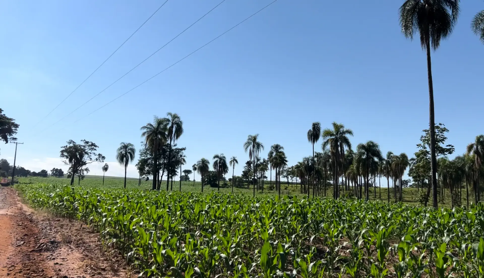 Fazenda